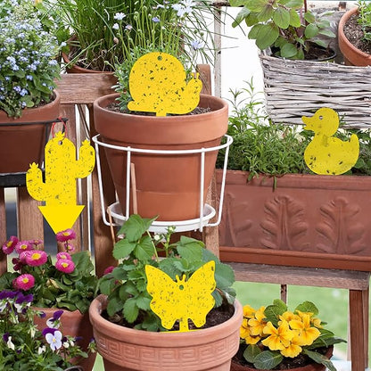Gideal 48-Pack Dual-Sided Yellow Sticky Traps for Indoor/Outdoor Use, Gnat Trap for Flying Plant Insect Such as Fungus Gnats, Whiteflies, Aphids, Fruit Fly, Leafminers, etc - Cute Shapes