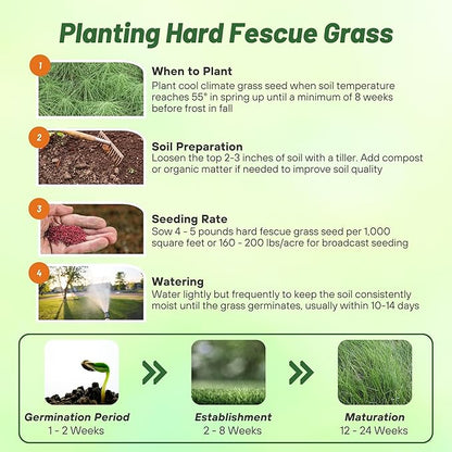 Outsidepride Hard Fine Fescue Grass Seed - 10 lbs. Low-Growing, Drought & Shade-Tolerant, OptiGrowth Coated Seed for Lawn & Turf, Ideal for Low-Maintenance, Dense, & Resilient Green Ground Cover