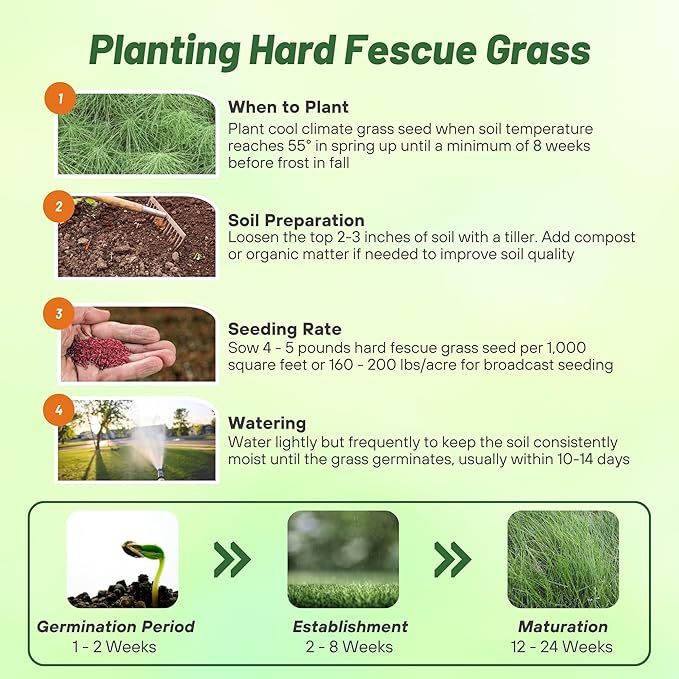 Outsidepride Hard Fine Fescue Grass Seed - 25 lbs. Low-Growing, Drought & Shade-Tolerant, OptiGrowth Coated Seed for Lawn & Turf, Ideal for Low-Maintenance, Dense, & Resilient Green Ground Cover