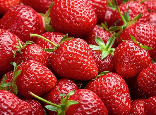 Harvest Glow Strawberry Plants - Grow Tasty Strawberries - Bare Root Plants (30 Plants)