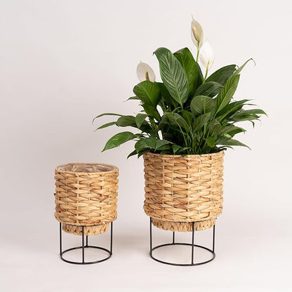 Set of 2 Water Hyacinth Planter Pot with Metal Stand - Indoor Plant, Flower, Succulent, Basket Planter, Decorative Pot Cover (Twisted)