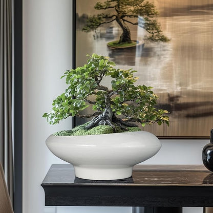 Bonsai Pots 13 Inch - Ceramic Succulent Pots with Drainage Hole Decorative Plant Pot Indoor Large Outdoor Planter Modern Flower Pot for Home Garden Office Room Decor Gray