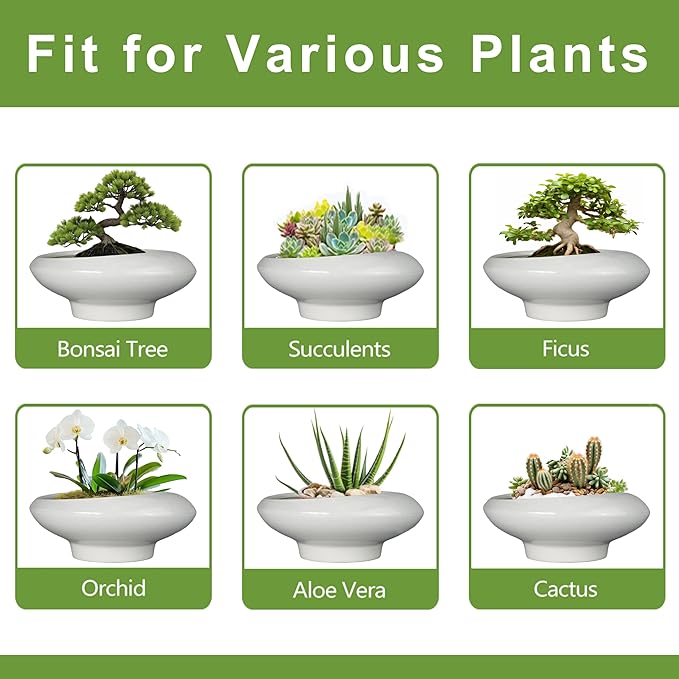 Bonsai Pots 13 Inch - Ceramic Succulent Pots with Drainage Hole Decorative Plant Pot Indoor Large Outdoor Planter Modern Flower Pot for Home Garden Office Room Decor Gray