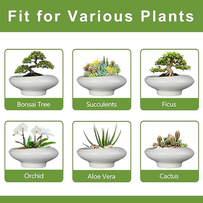 Bonsai Pots 13 Inch - Ceramic Succulent Pots with Drainage Hole Decorative Plant Pot Indoor Large Outdoor Planter Modern Flower Pot for Home Garden Office Room Decor Gray