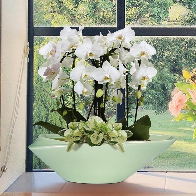 Ceramic Bonsai Pot - 18 Inch Planter with Drainage Hole Large Modern Bonsai Planter Decorative Succulent Flower Plant Pot for Indoor Plants Outdoor Green