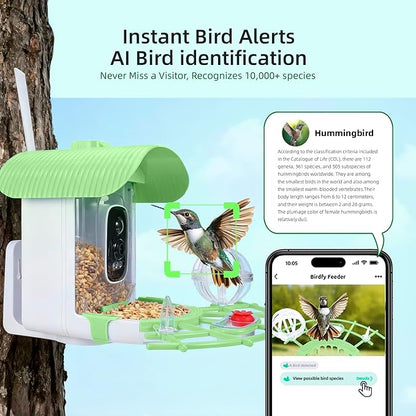 Bird Feeder with Camera, Smart Bird Cam with AI Identify BirdSpecies, Auto Record BirdVideo, Instant Notifications, 2K Video Live Stream Camera with Solar Panel for Birds Lover