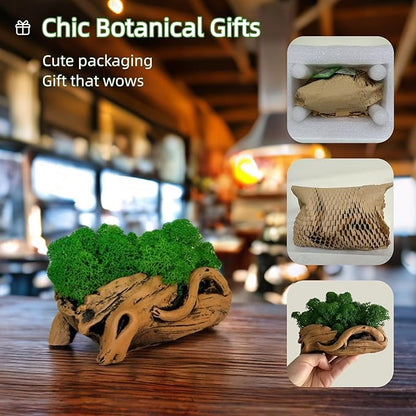 Moss Centerpiece 6in, Handmade Artificial Bonsai with Real Moss, No Maintenance
