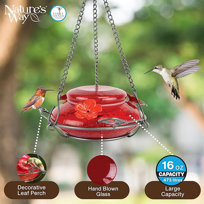 Nature's Way Bird Products MHF4 Hand Blown Garden Top Fill Hummingbird Feeder, 16 oz Capacity, Red