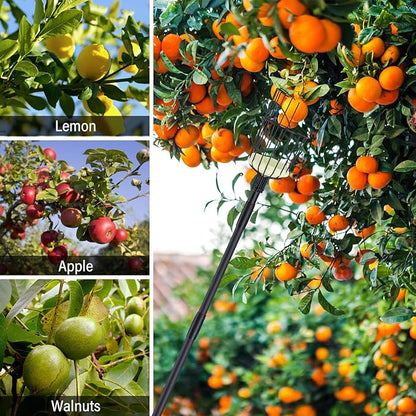 Fruit Picker Pole Tool with Basket, 9.6 FT (116 Inch) Adjustable Fruit Grabber Reacher Tool Long Handle Fruit Catcher for Apple Lemon Pear Citrus Mango Tree Gardening Supplies, Black