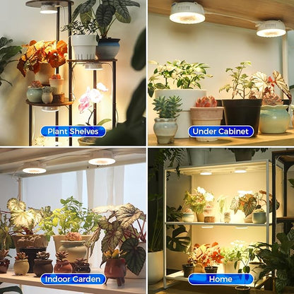 Barrina Orbgrow OG09 Puck LED Grow Light with 660nm Red LEDs, 36W(4 x 9W, 540 Watt Equiv), Plant Lights for Indoor Plants Full Spectrum, Magnetic & Linkable, Small Grow lamp for Plant Shelf, 4 Packs