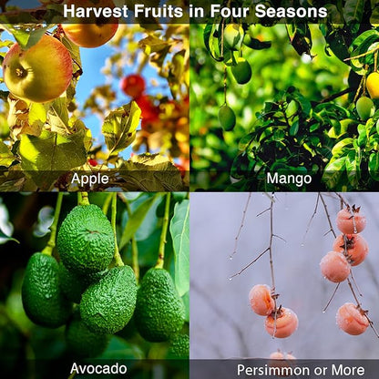 DonSail Fruit Picker Pole Tool with Basket Telescoping - Adjustable Mango Picker 35-120 inch Long Handle - Apple Orange Avocado Acorn Lemon Pear Pomelo Chery Picker for Tree