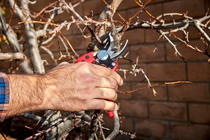 Corona BP 4180 Non-stick Steel Angled Bypass Hand Pruner - 5/8 inch Cut Capacity Stem and Branch Garden Shears, Red