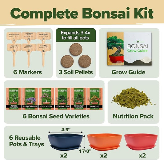 HOME GROWN 𝗨𝗦𝗔 Bonsai Tree Kit – 6 Heirloom Varieties with Unique Pots – DIY Bonsai Starter Kit for Adults & Beginners – Christmas Gift for Men Women Gardeners Plant Lovers – Indoor Growing Kit