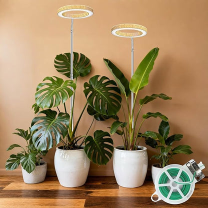 Grow Light for Indoor Plants, 6.3" Full Spectrum LED Plant Grow Light, 11.8-63in Height Adjustable Growing Lamp with Auto Timer 3H/9H/12H, 10 Dimmable Levels (1 Pack)