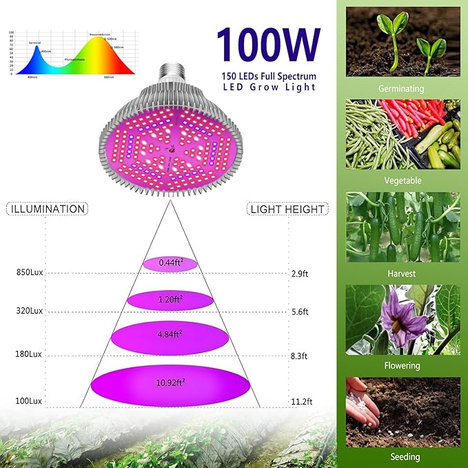 Intpro LED Grow Light Bulbs for Indoor Plants 2Pack, Plant Grow Light Bulb, Grow Bulb Full Spectrum E26 Base, Grow Light for Indoor Plants, Seed Starting