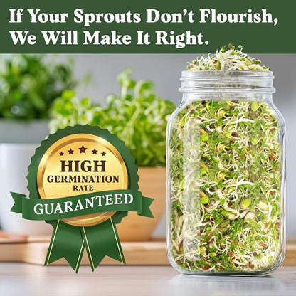 Seedboy Organic Non-GMO Fresh Salad Blend Sprouting Seeds & Kit – Includes Jar, Lid & Stand – USA Grown Microgreens Mix – 8 oz Bag Makes 24 Servings (Sprouting Jar/Salad Blend)