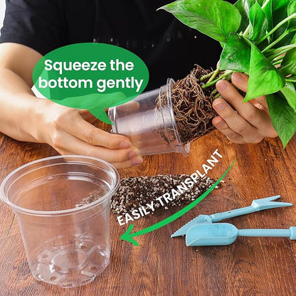 36 Packs 6.7/5/4/3.5 Inch Reinforced Clear Nursery Pots with Drainage Hole, Transparent Variety Pack Plastic Plant Pot Seedling Planter Seed Starter Flower