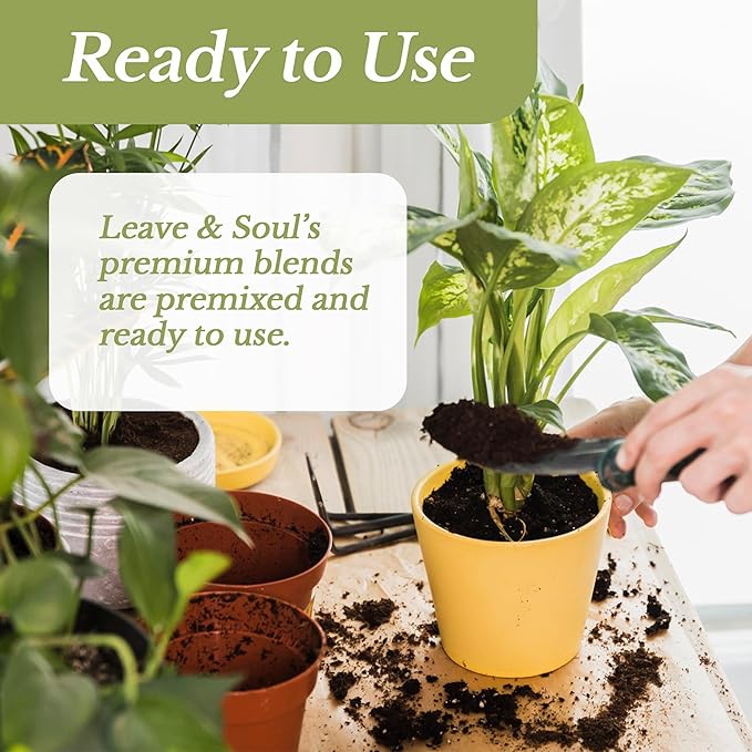 Bonsai Soil Premium All Purpose Blend | Pre-Mixed Ready to Use for Fast Drainage | Large 2.2 Quarts | Lava, Limestone Pearock, Calcined Clay and Pinebark | Made in USA