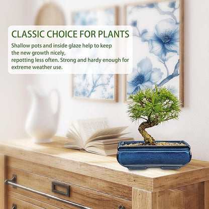 Set of 2 Blue Glazed Ceramic Bonsai Pots, 9.8" & 7.4" Rectangular Bonsai Pots Planters with Drainage for Indoor/Outdoor Plants, Shallow Bonzie Tree Pot for Succulents, Cacti, Orchids, Herbs, Flowers
