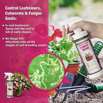EcoVenger (by EcoRaider) Garden & Plant Insect Control 16 oz, Kills Aphids, Mealybugs, Red Spiders, Armyworms and Gnats All Stages and Eggs, Indoor/Outdoor, Plant-Based, Non-Toxic Child & Pet Safe