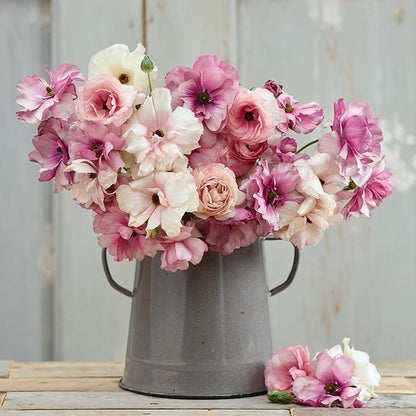 Eden Brothers Butterfly Ranunculus Bulbs - Pink Pastel Mix