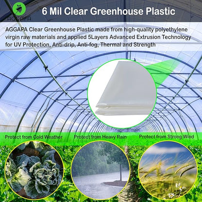 6 mil (24ft x 50ft) 100% Virgin Material. 5Layers Advanced Extrusion Technology for UV Protection, Anti-drip, Anti-Fog, Thermal and Strength. 4Years Lifetime UV Resistant Greenhouse Plastic