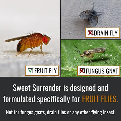 Dr. Killigan’s Fruit Fly Refill Liquid - Long-Lasting 24-Week Protection, Works with Apple Traps, Pet-Friendly and Safe for Everyday Family Use, Made in USA (16 oz)