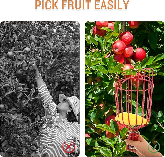 Kisangel 1pc Tool Pecan Picker Mango Picker Pole Adjustable Fruit Picker Avocado Tool Fruit Collector Tool Fruit Harvester Fruit Picker Tool Fruit- Device Rod Persimmon
