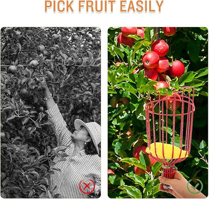 Kisangel 1pc Tool Pecan Picker Mango Picker Pole Adjustable Fruit Picker Avocado Tool Fruit Collector Tool Fruit Harvester Fruit Picker Tool Fruit- Device Rod Persimmon