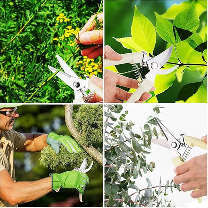 12 Pcs Garden Shears Flower Scissors Pruning Shears Floral Garden Clippers Hand Pruners Branch Cutter Gardening Tools for Plants Cutting, Trimming, Fruits Picking(Bypass, Straight)