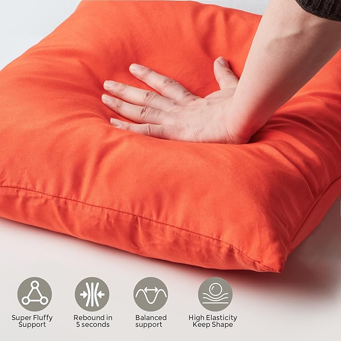 Outdoor Pillows Set of 2, 20''×20''Waterproof Throw Pillow for Patio Furniture, Feathers and Down Filled Outside Decorative Pillows Inserts for Garden, Porch Swing, Couch and Sofa