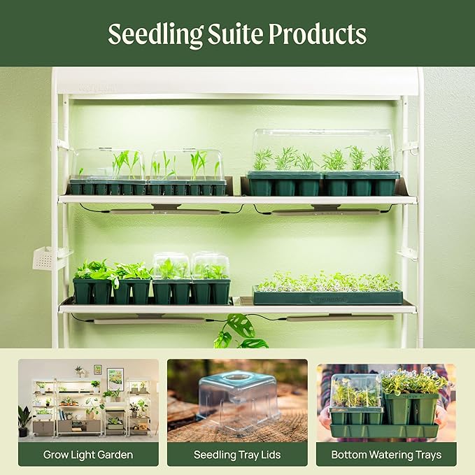 Vego garden Standard Seedling Trays Without Lids, 64 Pack for Seedlings Reusable Propagator Growing Starter Tray, Germination Trays Kit for Greenhouse/Garden (8-Cell per Tray)