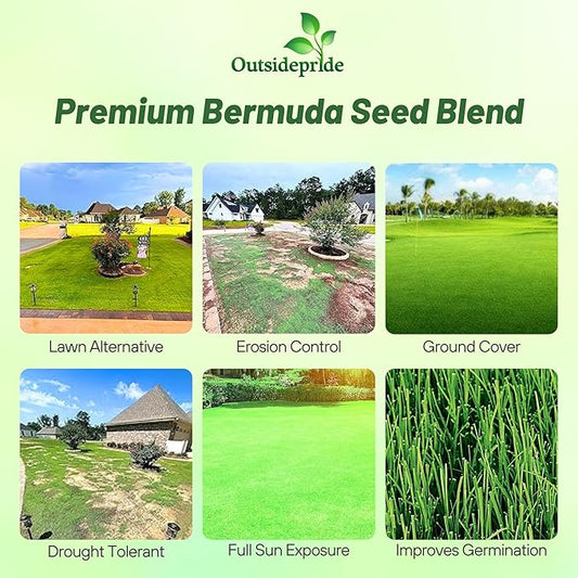 Outsidepride Oasis Bermuda Grass Seed - 10 lbs Warm Season, High Traffic, Heat Resistant, Drought-Tolerant, Low-Maintenance, Fast Growing Turf Grass for Lawn, Ideal for Sunny Areas, Thick Coverage