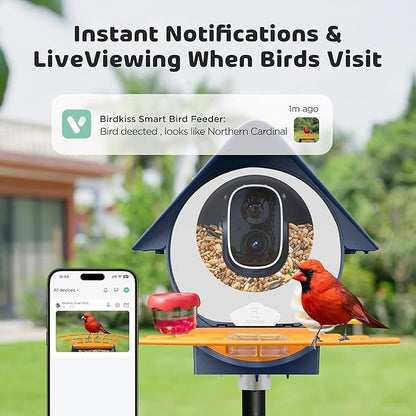 Birdkiss Smart Camera Bird Feeder with Solar Pannel, DIY Different Add-Ones Including Suet Ball, Jelly Feeder, Mini Hummingbird Feeder, Auto Capture Bird Full HD Videos, Ideal Present for Bird Lovers