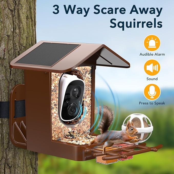 PeckCam® Bird Feeder with Camera Solar Powered, AI Identify & Auto Capture, 2K HD Live Video Smart Bird Feeder Camera Instant Notifications in Backyard, Gift for Bird Lovers