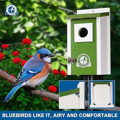 Bird Houses for Outside, Lime Green Bird House, Bluebird Houses for Outside, Garden Decoration Birdhouses for Outdoors, Bluebird Finch Swallow Wren Chickadee