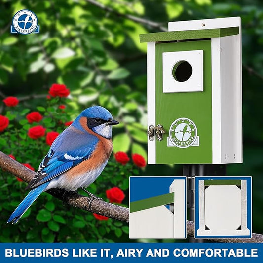 Bird Houses for Outside, Lime Green Bird House, Bluebird Houses for Outside, Garden Decoration Birdhouses for Outdoors, Bluebird Finch Swallow Wren Chickadee