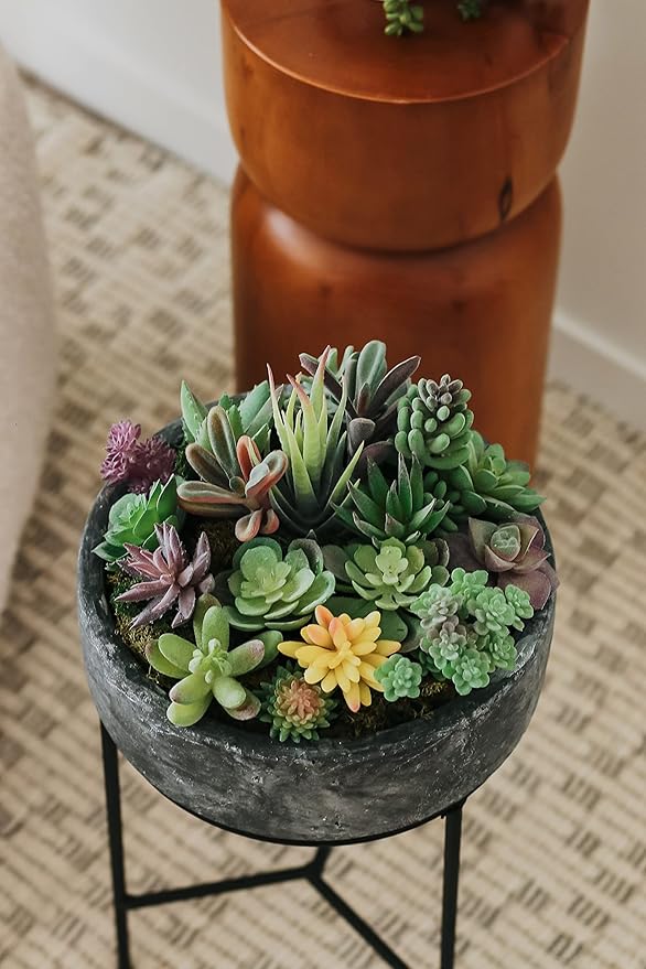 Artificial Succulent Plants - 18 Pack - Premium Fake Plants - Double Flocked Succulents - Realistic Textured Cactus - Face Succulent Plants - Mini Faux Succulents - Face Plant Decor