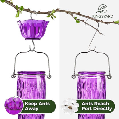 Kingsyard Hummingbird Feeders for Outdoors Hanging, 24 Ounce, Glass Hummingbird Feeder with Ant Moat & 6 Bee Guard Feeding Ports, Leak-Proof, Purple