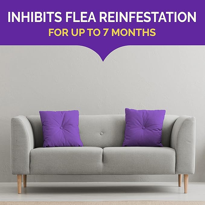 Hot Shot Bedbug & Flea Fogger For Insects, Aerosol, 3/2-Ounce, Pack of 6, Multolor