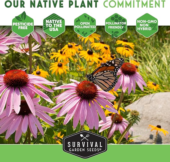 Survival Garden Seeds - Dense Blazing Star (Liatris spicata) | Gayfeather | Prairie Feather | North American Native Wildflower Seeds - 1 Pack
