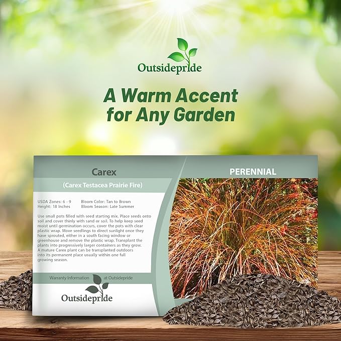 Outsidepride Carex Prairie Fire Ornamental Grass Seed – 400 Pcs. Perennial, Low-Maintenance, Drought-Tolerant Grass Seeds with Low Growing Foliage for Borders, Ground Covers, & Outdoor Living Spaces