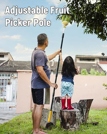 6.5FT Fruit Picker, Apple Picker Tool with Adjustable Pole and Basket, Long Reach Mango Grabber Tool, Tree Fruit Catcher for Picking Lemon Pear Orange Avocado Peach Citrus