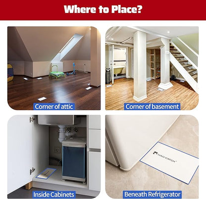 LULUCATCH Cricket Insect Glue Traps - 36 Pack Bug Sticky Traps, Large & Adhesive Spider Scorpion Trap with Pre-Baited Attractant, Highly Effective Glue Boards Indoor, Non-Toxic, Pet Safe Pest Control