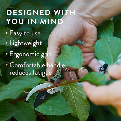Modern Sprout Hand Pruners - Lightweight Pruning Shears W/Easy Lock- Gardening Scissors - Bypass Sharp Carbon Steel Blade - Rust Resistant - Garden Tools - Reusable Holster - Ocean