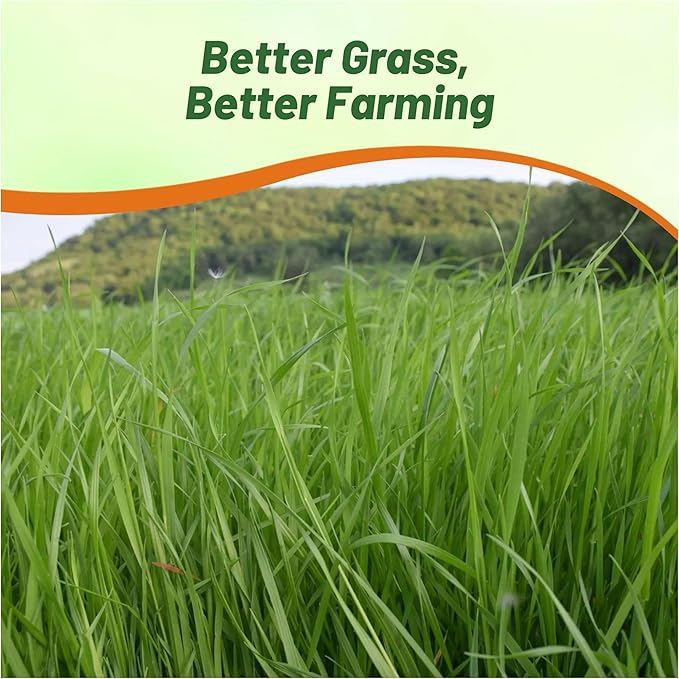 Outsidepride Ryegrass Seeds - 25 lb. Annual, Hardy & Fast-Growing, Cover Crop Seeds for Planting Glossy Dark Green Grass Leaves, Ideal for Hay Foraging, Pasture Grazing & Erosion Control