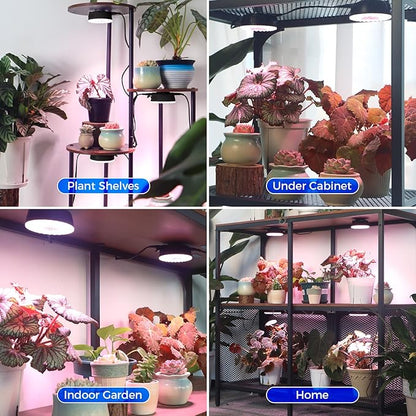 Barrina Orbgrow OG09 Puck LED Grow Light, Pinkish White 54W(6 x 9W, 810 Watt Equiv), Plant Lights for Indoor Plants Full Spectrum, Magnetic & Linkable, Small Grow lamp for Plant Shelf, 6 Packs, Black