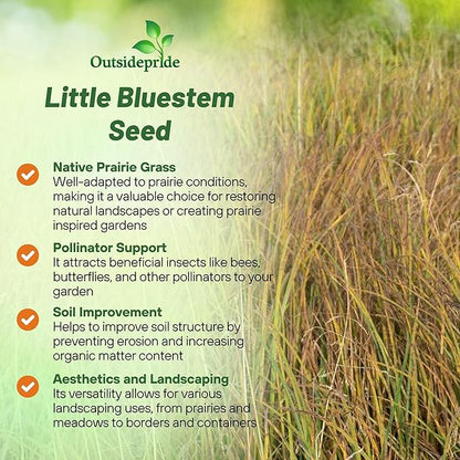 Outsidepride Perennial Little Bluestem Grass Seed - 1 lb. Warm Season, Drought Resistant, Long-Lived Native Prairie Grass Seed, Ideal for Erosion Control, Ornamental Landscaping & Wildlife Gardens