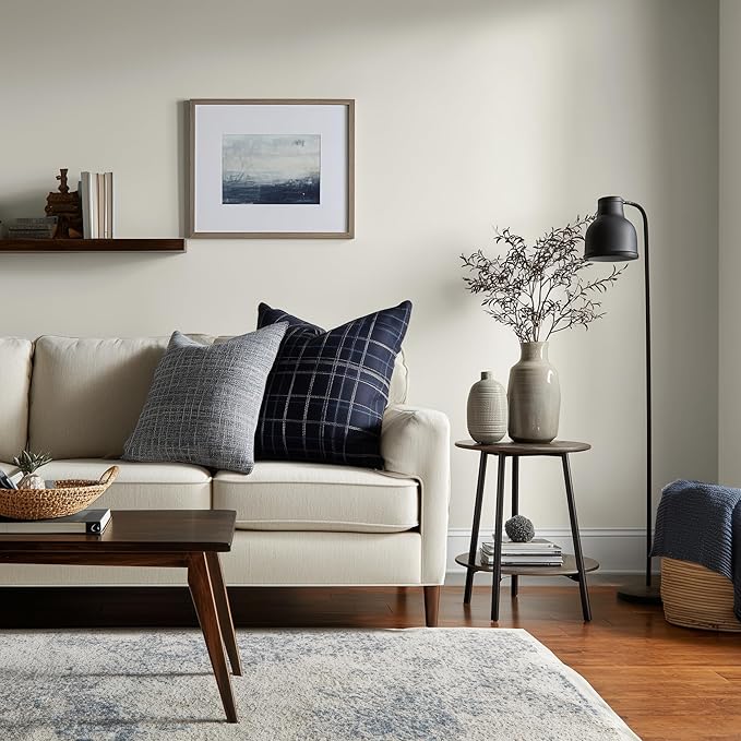 EVOLVE Paint & Primer: Environment-friendly, Low Sheen with One-coat Coverage for Interior & Exterior surfaces (Clover White, 5-Gallon)