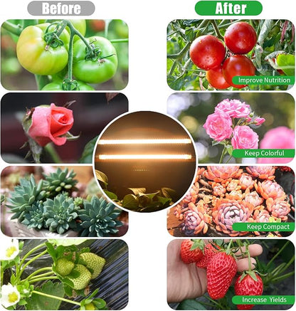 Two Strip Growing Lamp 2-Pack for Indoor Plants, 3500K Full Spectrum LED Grow Light Strips with Auto ON/Off 3/9/12H Timer & 10 Dimmable Levels for Green House Succulent (2 Head×2 Pack)